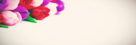 Flowers on white backgroundの写真素材