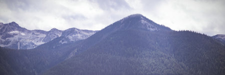 Mountain ridge is being shown in flat design with coniferous forest, snowy peaks and cloud cover....