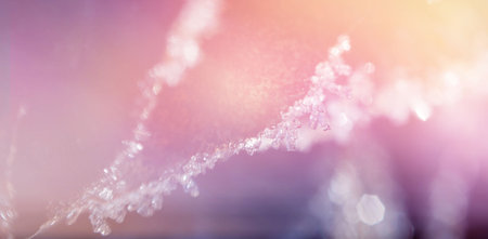 Close-up of frost on leaf with bokeh in foreground