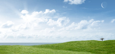 Solitary bare tree is standing on green hills in flat design, showing sun, clouds, crescent moon....