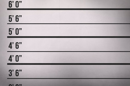 Height measurement chart is being displayed in flat design, with bold black lines and labels. Scaling, evaluation, architecture, design, blueprint, data, analyticsの写真素材