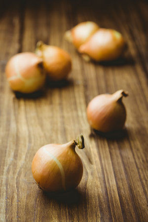 Fresh onion on wooden tables