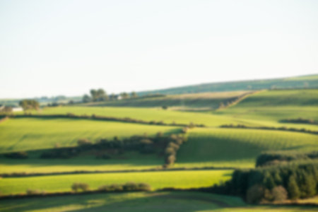 Scenic view of meadow land against skyの写真素材