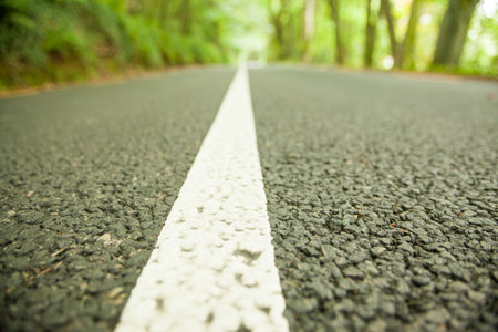 Solid white center line is being shown in vector illustration of asphalt road through forest. Asphalt, road, landscape, nature, highway, transportation, travelの写真素材