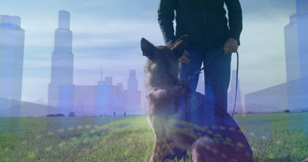 Holding leash wearing jeans and jacket standing behind German Shepherd on grassy field with skyline. Nature, companionship, adventure, serenity, urban, silhouette, tranquilityの写真素材