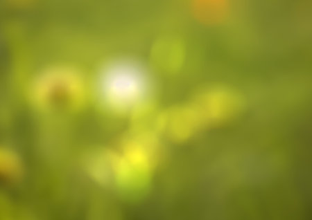 Blurry of autumn trees on a sunny dayの写真素材