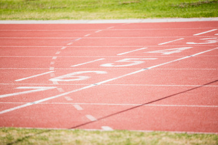 Numbers on starting line on sunny dayの写真素材