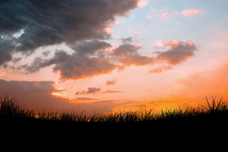 Flat design is depicting tall grass silhouette rising against vibrant sunset sky with wispy clouds. Nature, landscape, rural, tranquility, wilderness, dusk, silhouetteの写真素材