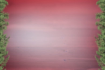 Blurred fir tree branches on wood