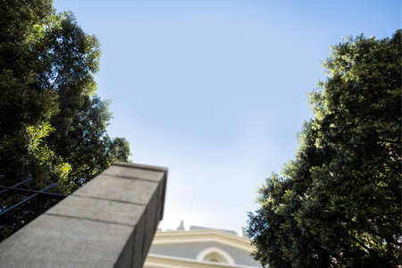 Low angle view of trees with building against clear skyの写真素材