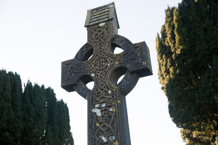 Low angle view of cemetary by treesの写真素材