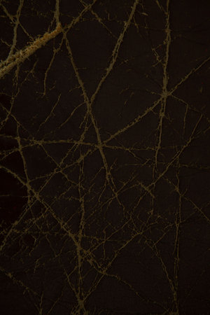 Old black couch background, Close-up