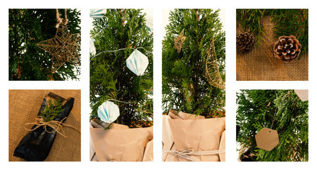 Christmas tree and decoration