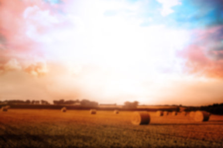 Digitally generated image of cloudy sky over hay bales on fieldの写真素材
