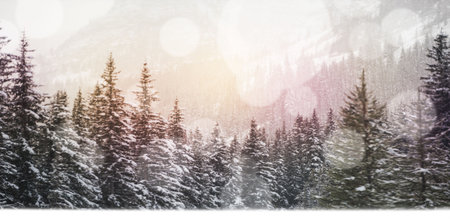 Close-up of defocused lights against snow covered trees and mountainの写真素材