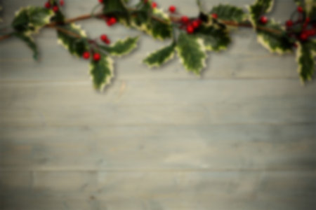Variegated holly garland is draping across plank backdrop in flat design showing bright red berries. Festive, seasonal, decor, greenery, rustic, handcrafted, holidayの写真素材