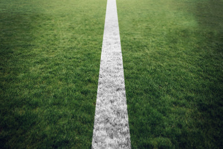 Dividing line at playing fieldの写真素材
