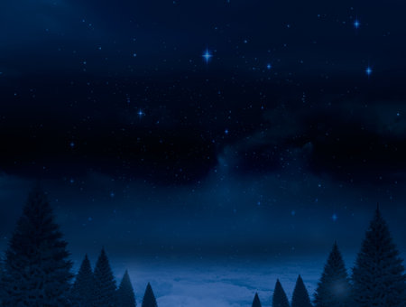 Digitally generated Night sky over forestの写真素材