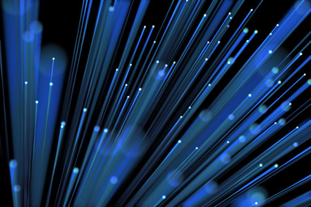 Illuminated image of fiber optics against black backgroundの写真素材