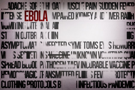 Flat poster featuring gray background, showing red EBOLA among black rows, hiding under white block. Medical, awareness, infographic, health, crisis, prevention, clinicalの写真素材