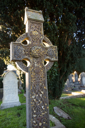 Close-up of tombstone by tree at graveyardの写真素材