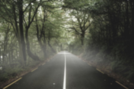 Diminishing view of road by trees in forest