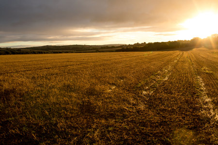 View of the countryside against sunsetの写真素材