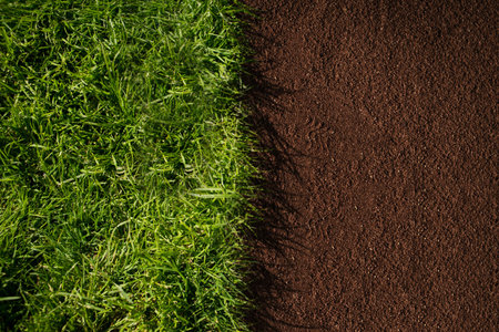 Half between green and brownの写真素材