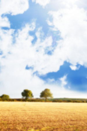 Scenic view of agricultural field against skyの写真素材