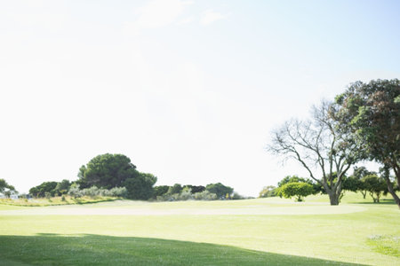 Flat design is showing manicured grass fairway stretching toward tree clusters under clear sky. Landscape, serenity, nature, outdoor, tranquility, minimalist, openの写真素材