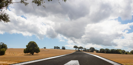 Two-lane paved road is running through harvested fields with trees and arrow marking in flat design. Rural, landscape, transportation, navigation, outdoor, scenery, naturalの写真素材