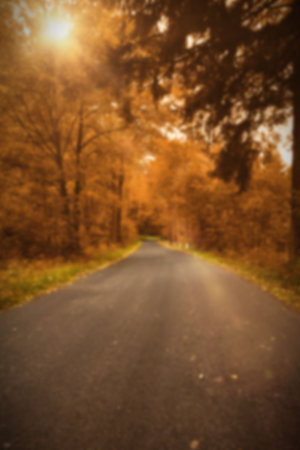 Road amidst trees during autumnの写真素材