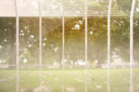 Flat design is showing white metal fence bars with cables framing park lawn with fallen leaves. Metalwork, outdoor, nature, architecture, serenity, tranquility, landscapeの写真素材