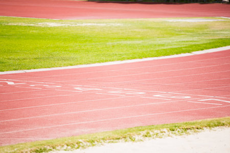 Tracks on field on a sunny dayの写真素材