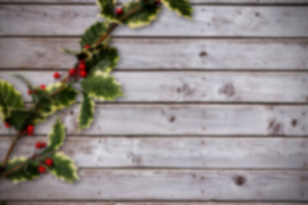 Holiday-themed flat design is showing yellow-edged holly branch with red berries on wood backdrop. Festive, rustic, natural, botanical, seasonal, decorative, texturedの写真素材