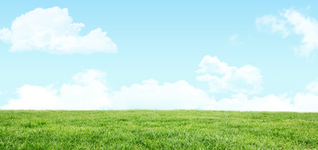 Scenic view of grassy field against sky