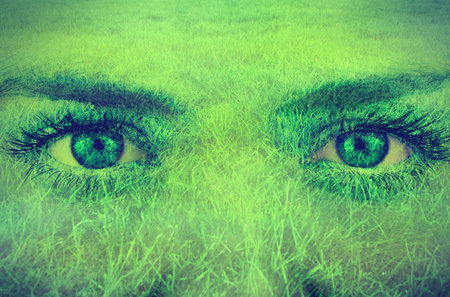Green eyes and dark brows are blending into dense grass blades in surreal flat design illustration....