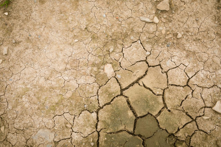 Close-up of cracked ground