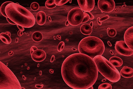 Graphic image of red blood cells in human body
