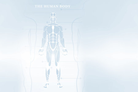 Digitally composite image of human body skeletonの写真素材
