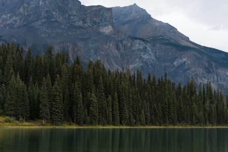 Beautiful mountain, lake and trees at countryside