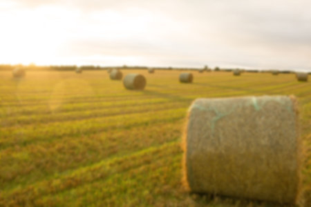 Idyllic view of hay bales on field against sky