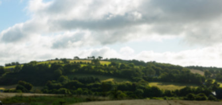 Panoramic view of trees on mountain against skyの写真素材