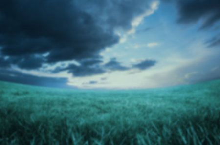 Defocused image of grassy landscape against sky