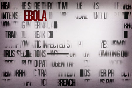 Flat design is showing bold red EBOLA amid gray text fragments and empty rectangle, copy space. Public health, epidemic, disease awareness, medical infographic, clinical, warning symbol, severityの写真素材