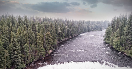 Flowing river is running through coniferous forest in flat design with rapids and overcast sky. Nature, wilderness, expedition, tranquility, landscape, adventure, sceneryの写真素材
