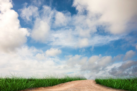 Road leading out to the horizonの写真素材