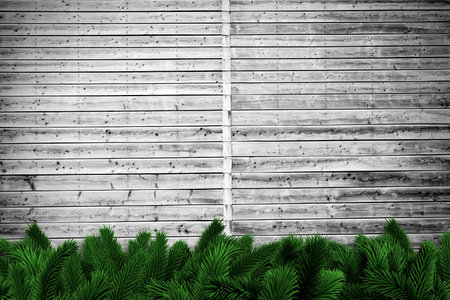 Fir branches on wooden planks with copy spaceの写真素材