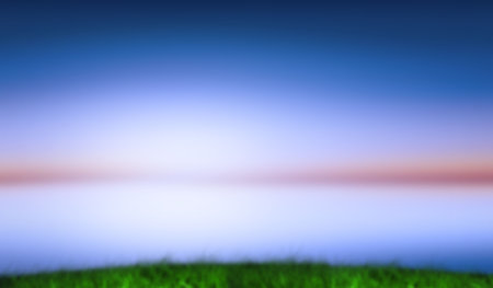 Grass against sky during sunset