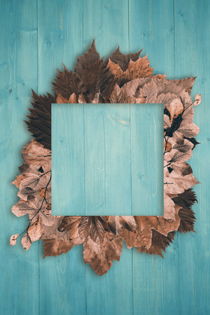 Flat square turquoise frame is resting on painted wood surface surrounded by brown leaves. Rustic,...